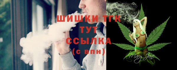 хмурый Магас