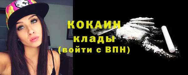 хмурый Магас