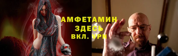 хмурый Магас