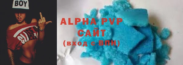 хмурый Магас