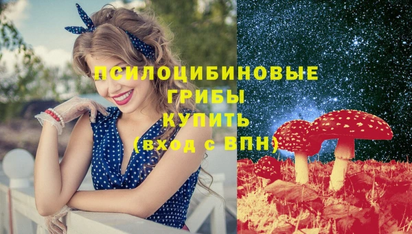 хмурый Магас