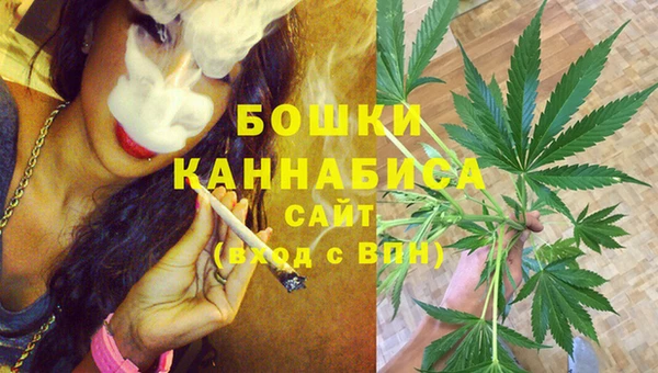 хмурый Магас
