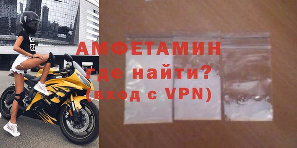 хмурый Магас